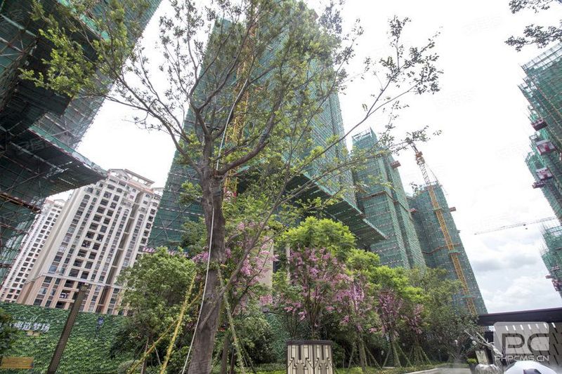 买了大亚湾响水河畔好"后悔"啊!听听开发商怎么解释?