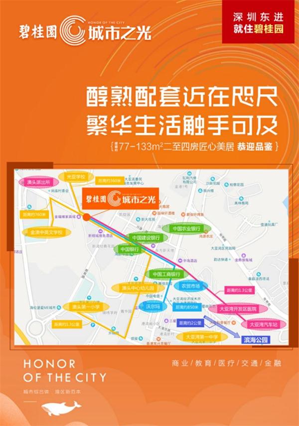碧桂园城市之光 碧桂园城市之光