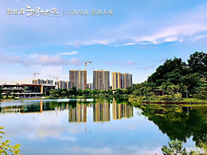 微信图片_20190808113514.jpg