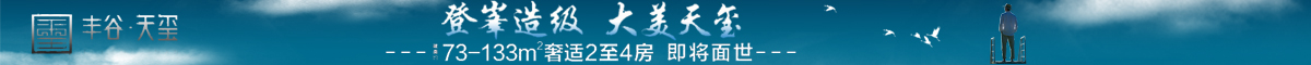 丰谷天玺.jpg