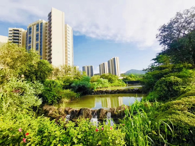 微信图片_20190808113637.jpg