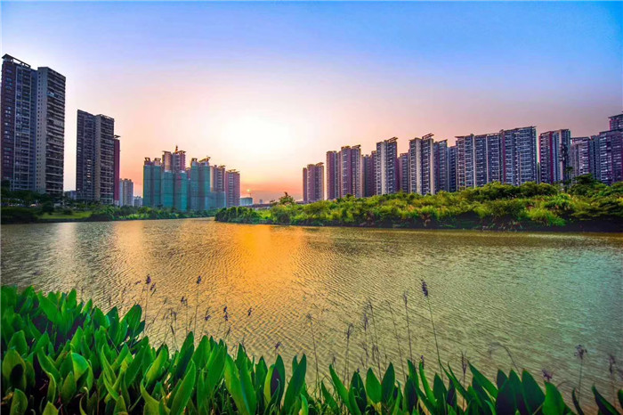 微信图片_20190813180406.jpg