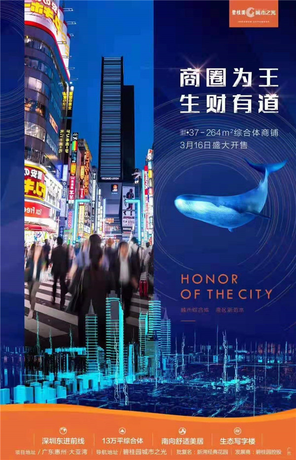 惠州碧桂园城市之光商铺宣传图 惠州碧桂园城市之光商铺宣传图