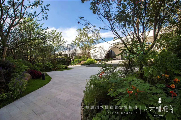 惠阳实地木槿雅著 惠阳实地木槿雅著