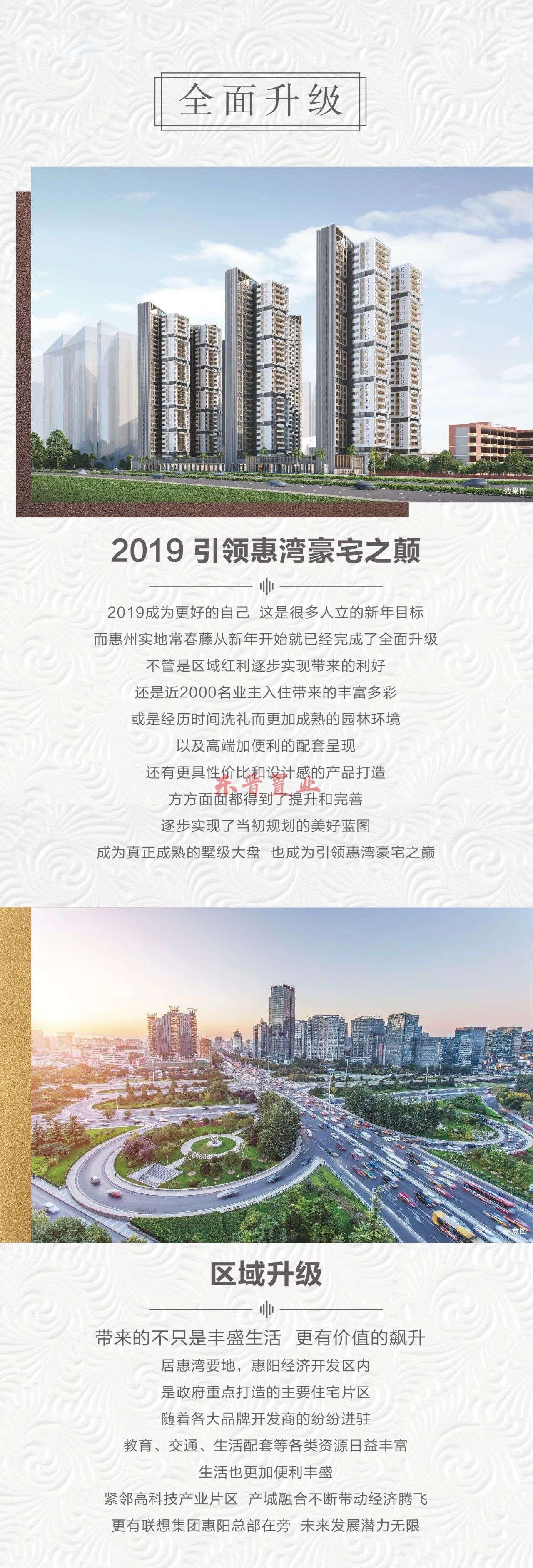 实地常春藤