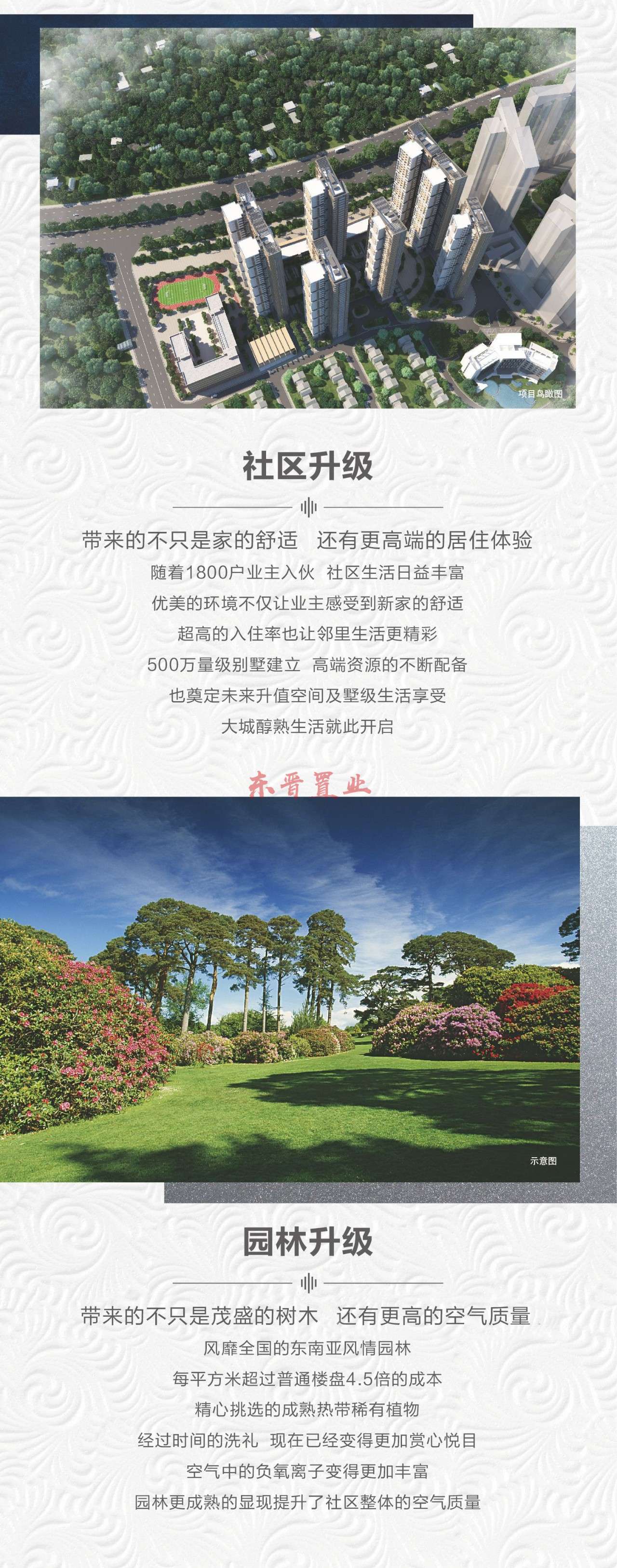 实地常春藤