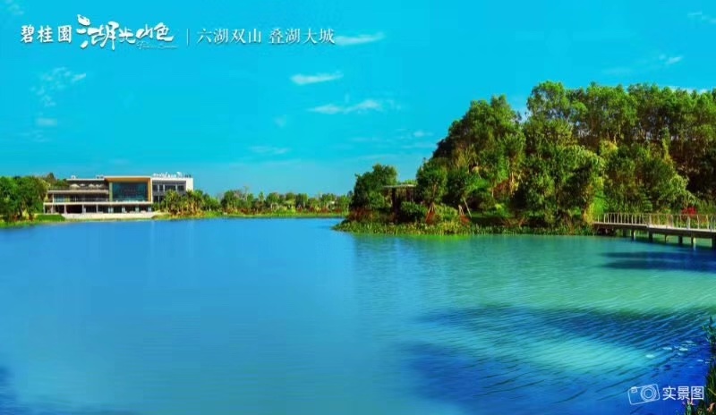 微信图片_20190808113607.jpg