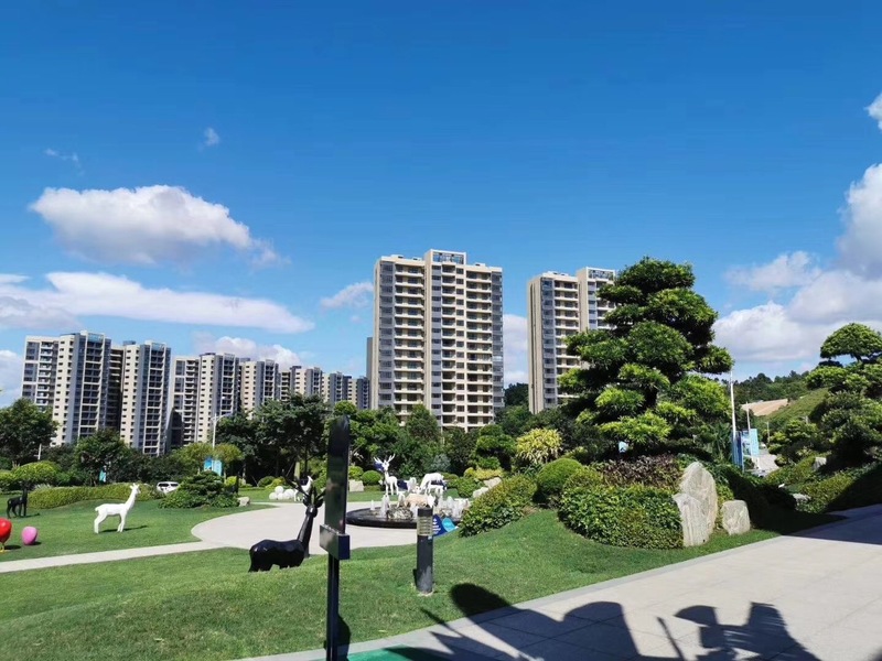 微信图片_20190808113409.jpg