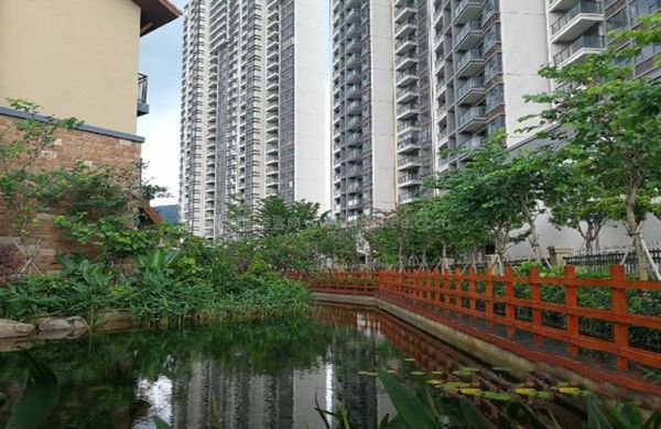 惠州实地常春藤 惠州实地常春藤