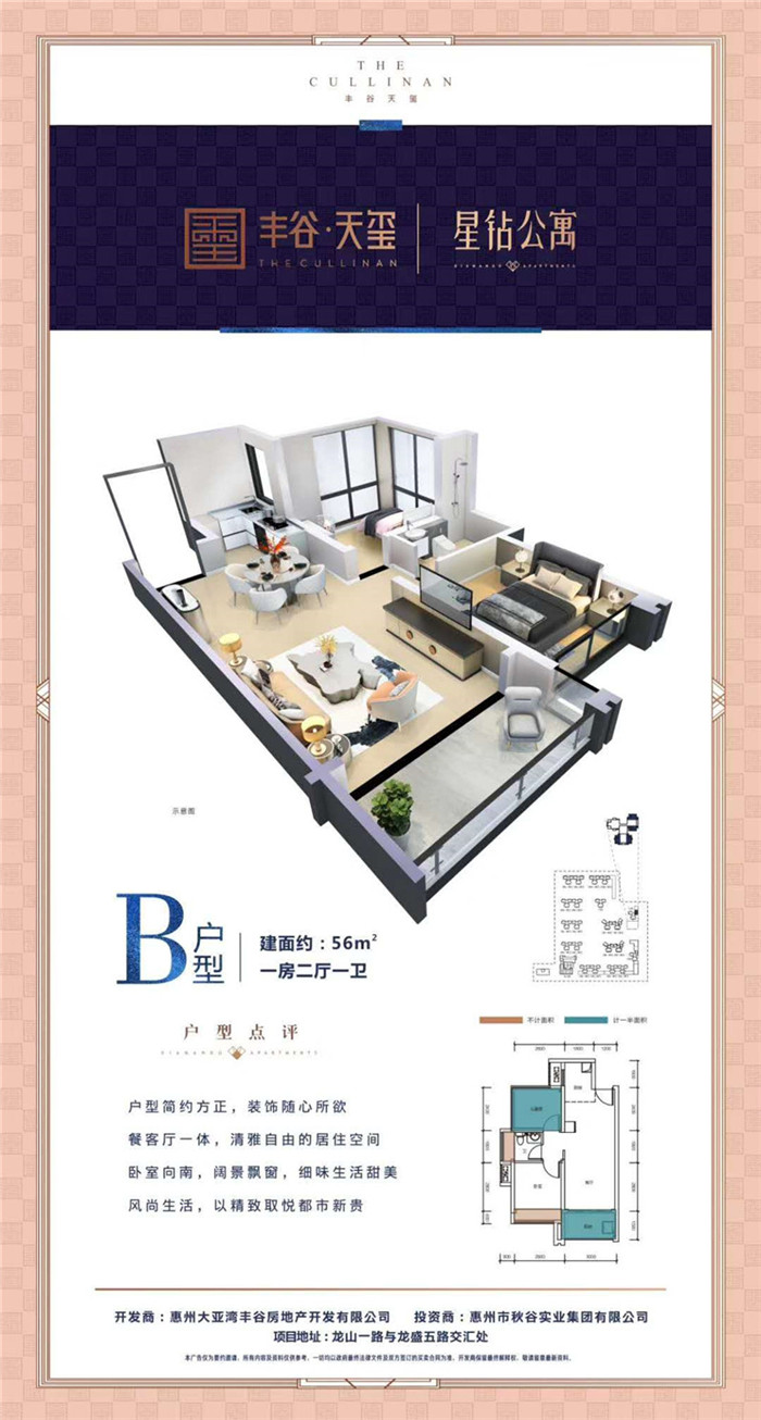 丰谷天玺公寓户型图 丰谷天玺公寓户型图
