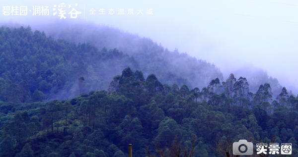 碧桂园润杨溪谷 碧桂园润杨溪谷